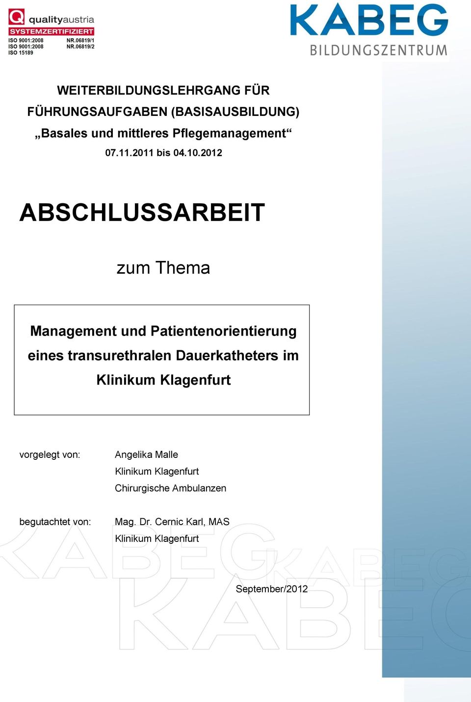 2012 ABSCHLUSSARBEIT zum Thema Management und Patientenorientierung eines transurethralen