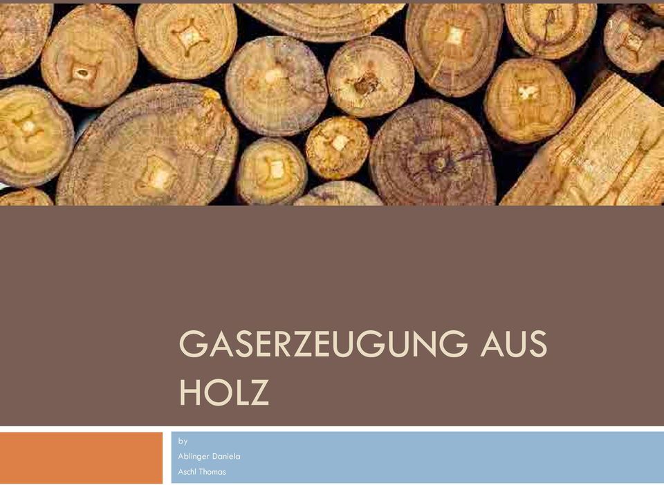 AUS HOLZ by