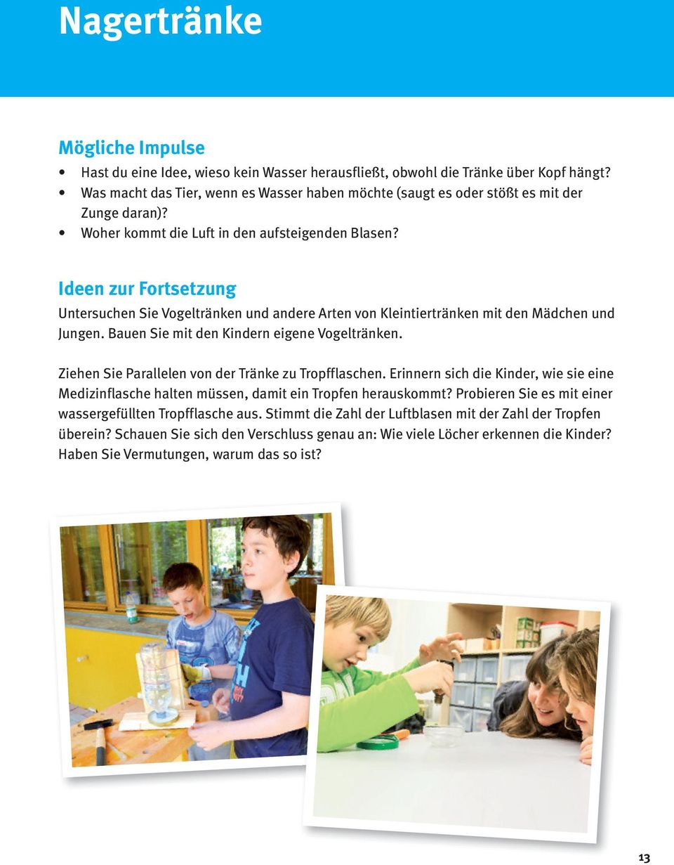 Ideen zur Fortsetzung Untersuchen Sie Vogeltränken und andere Arten von Kleintiertränken mit den Mädchen und Jungen. Bauen Sie mit den Kindern eigene Vogeltränken.