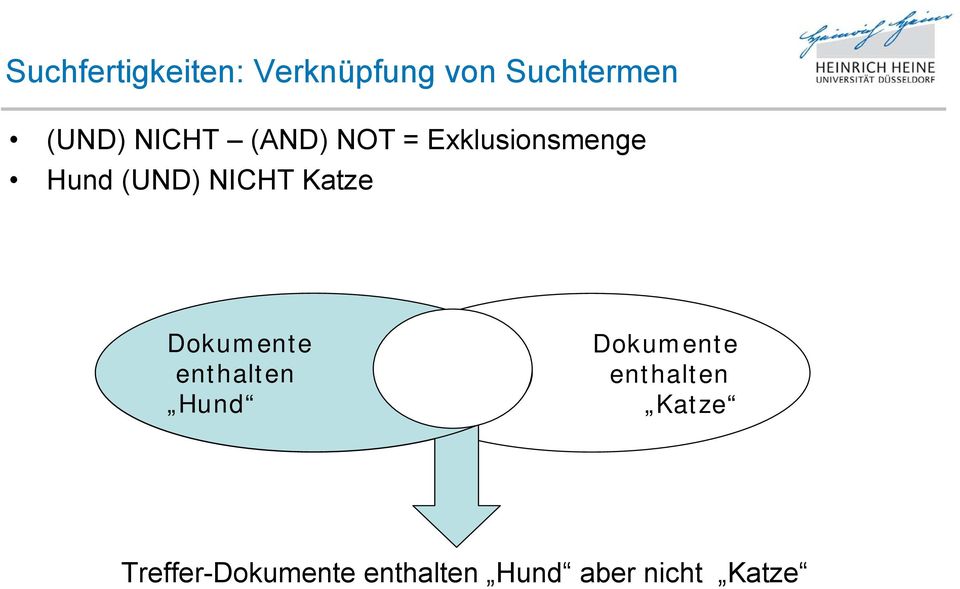 Katze Dokumente enthalten Hund Dokumente enthalten