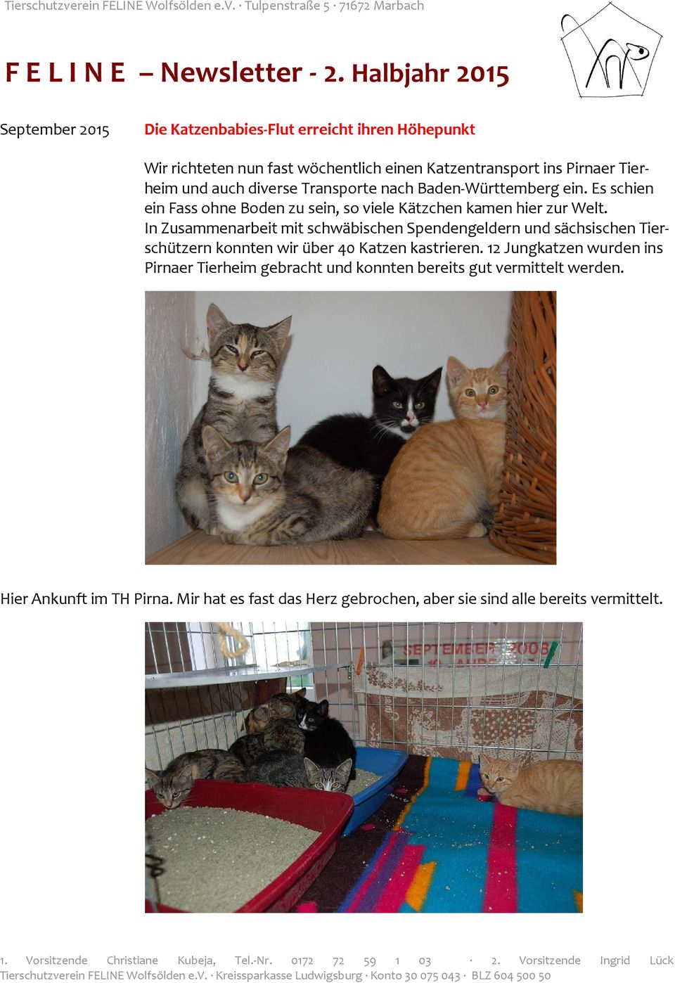 In Zusammenarbeit mit schwäbischen Spendengeldern und sächsischen Tierschützern konnten wir über 40 Katzen kastrieren.
