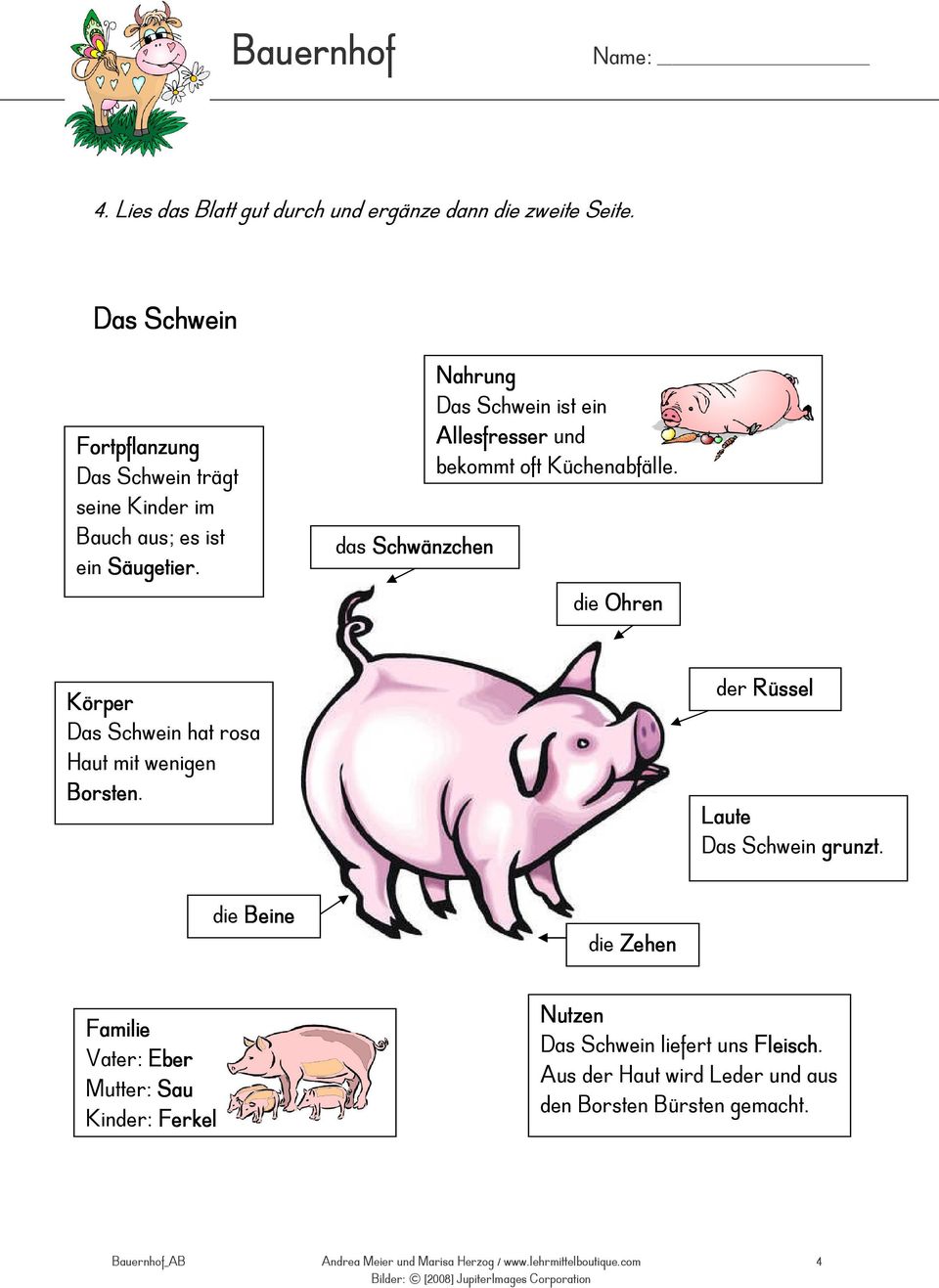 Das Schwein ist ein Allesfresser und bekommt oft Küchenabfälle.