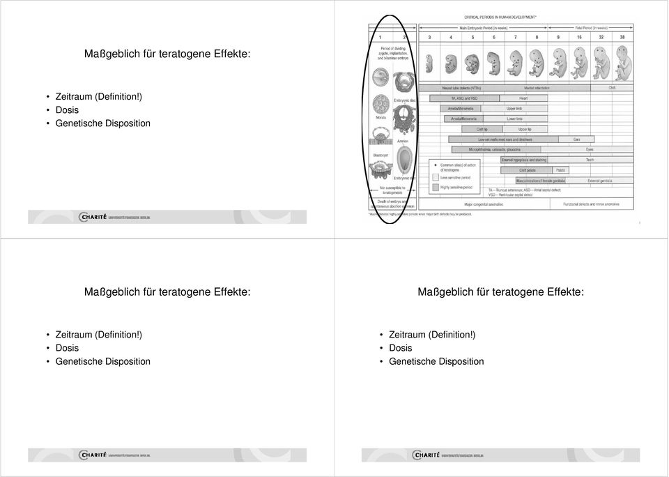 Effekte: ) Dosis Genetische Disposition Zeitraum (Definition!