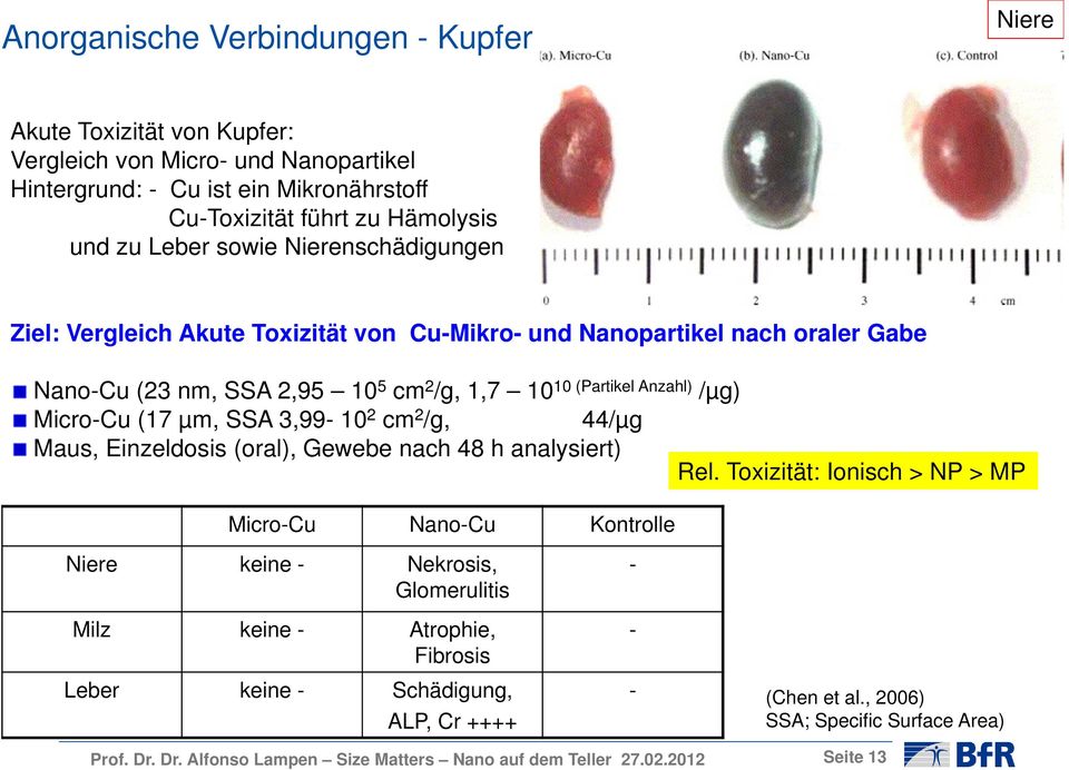 SSA 3,99-10 2 cm 2 /g, 44/µg Maus, Einzeldosis (oral), Gewebe nach 48 h analysiert) Rel.