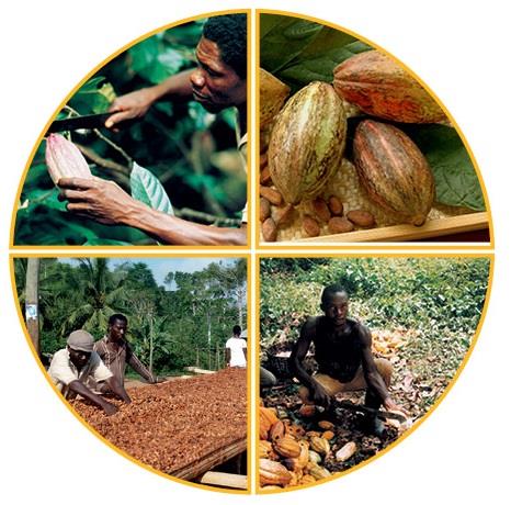 Workshop Nachhaltigkeit in der Lieferkette Kakao umsetzen - mit speziellem Fokus auf KMU - Forum
