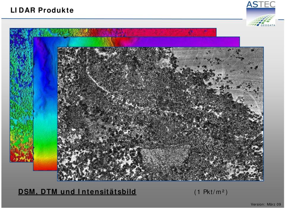 DTM und