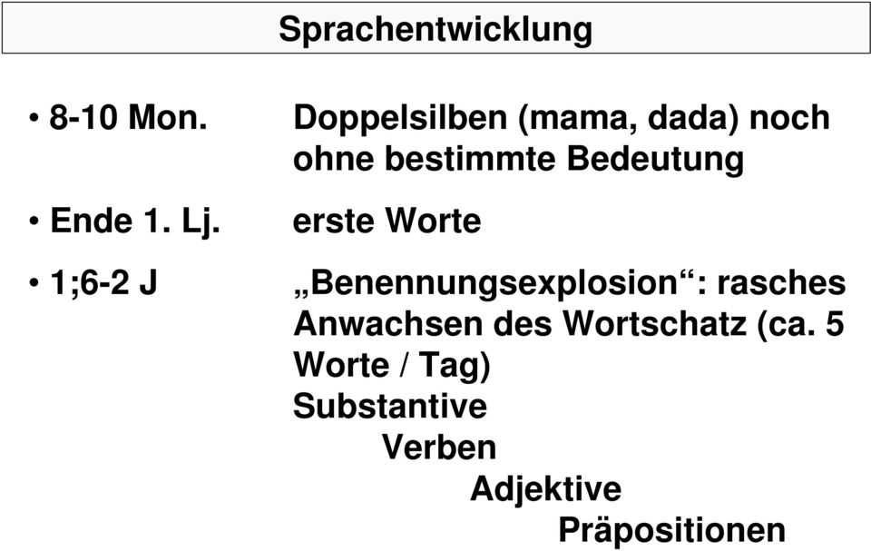 Bedeutung erste Worte Benennungsexplosion : rasches