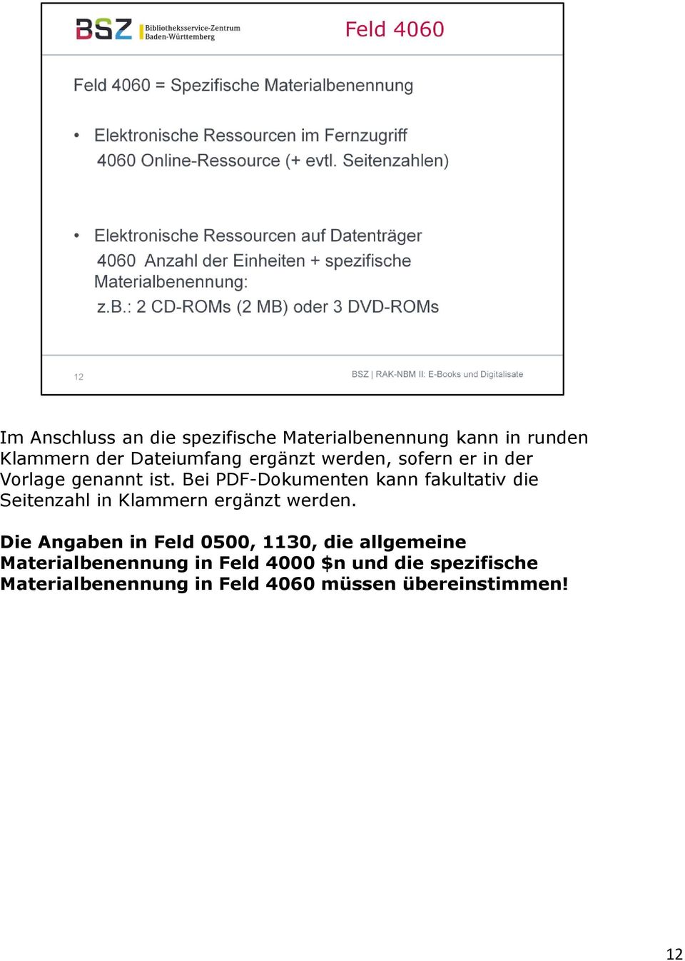 Bei PDF-Dokumenten kann fakultativ die Seitenzahl in Klammern ergänzt werden.