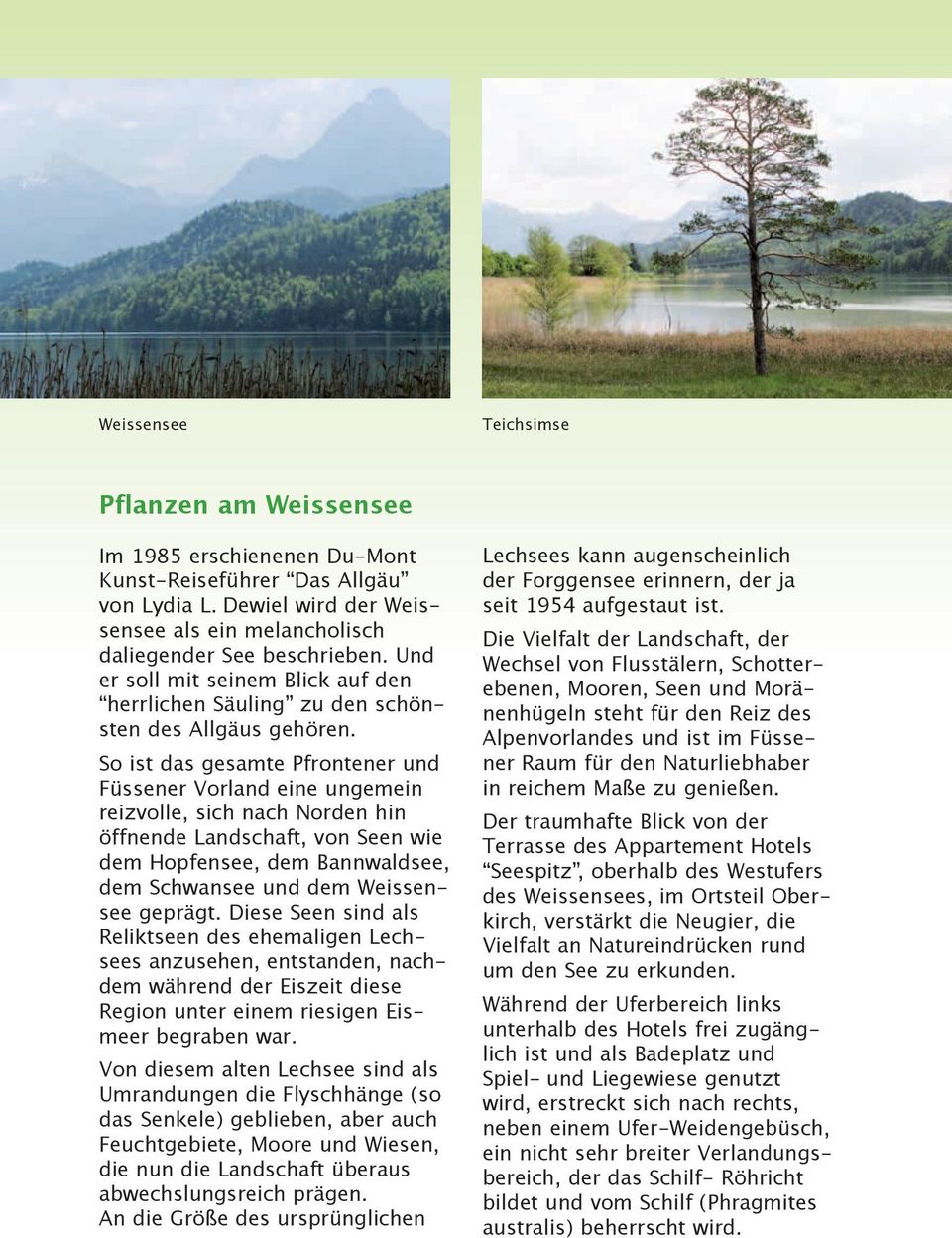 So ist das gesamte Pfrontener und Füssener Vorland eine ungemein reizvolle, sich nach Norden hin öffnende Landschaft, von Seen wie dem Hopfensee, dem Bannwaldsee, dem Schwansee und dem Weissensee