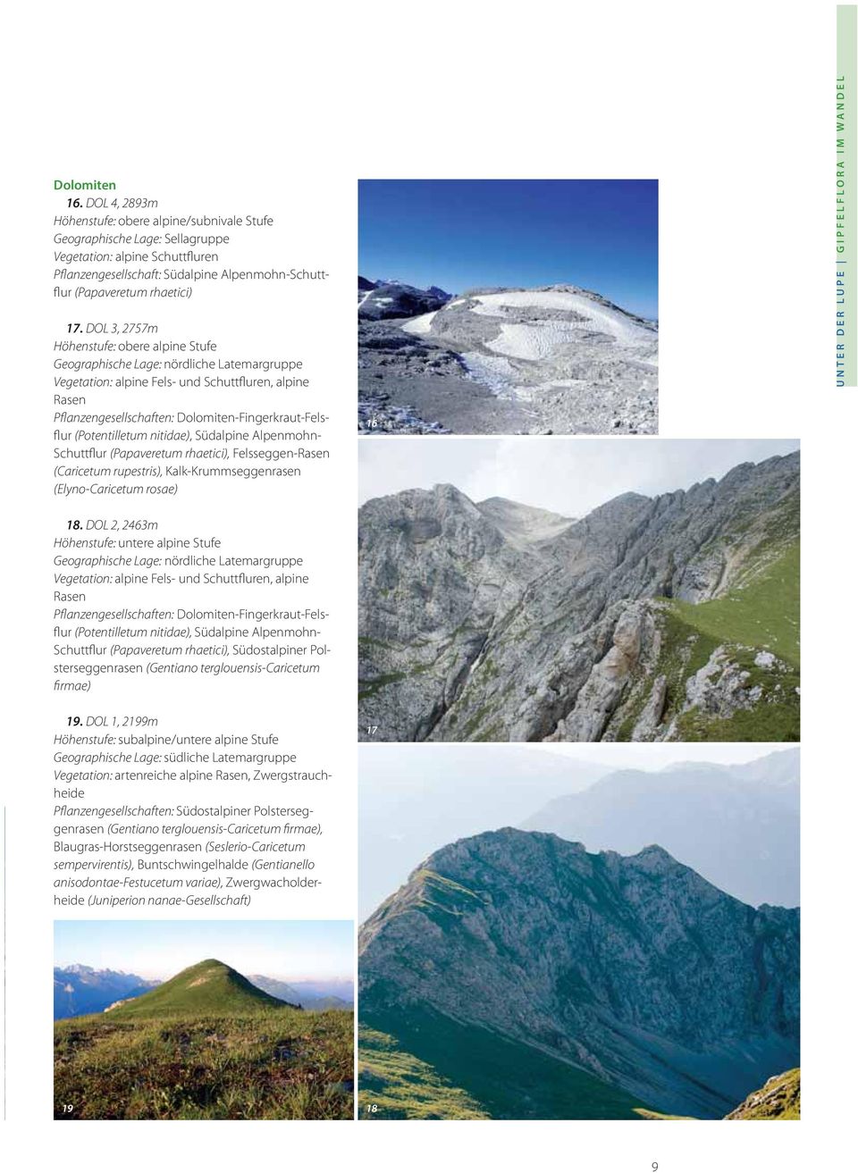 DOL 3, 2757m Höhenstufe: obere alpine Stufe Geographische Lage: nördliche Latemargruppe Vegetation: alpine Fels- und Schuttfluren, alpine Rasen Pflanzengesellschaften: Dolomiten-Fingerkraut-Felsflur