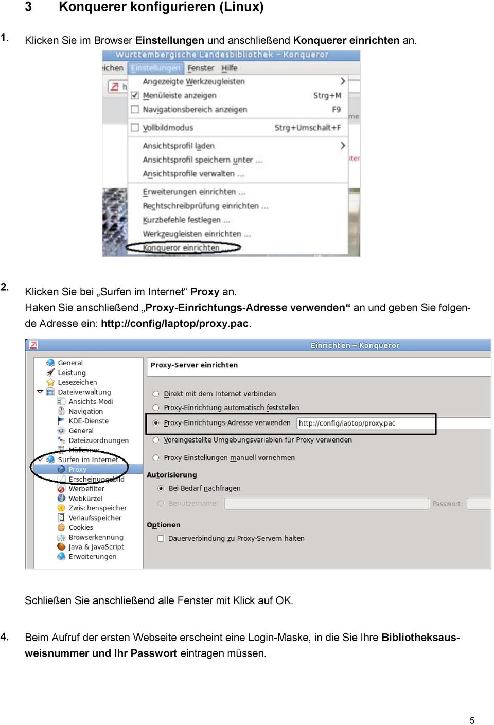 Haken Sie anschließend Proxy-Einrichtungs-Adresse verwenden an und geben Sie folgende