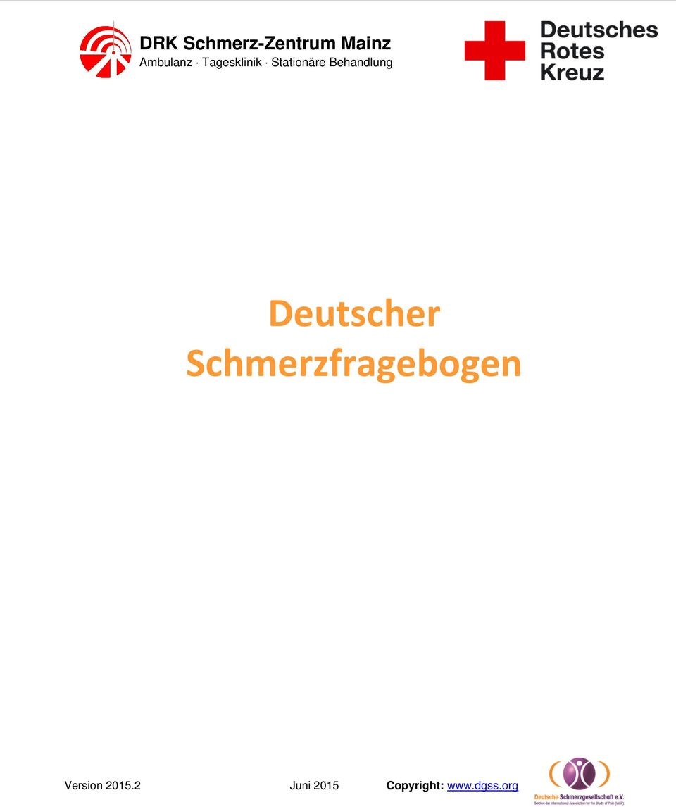 Deutscher Schmerzfragebogen Version