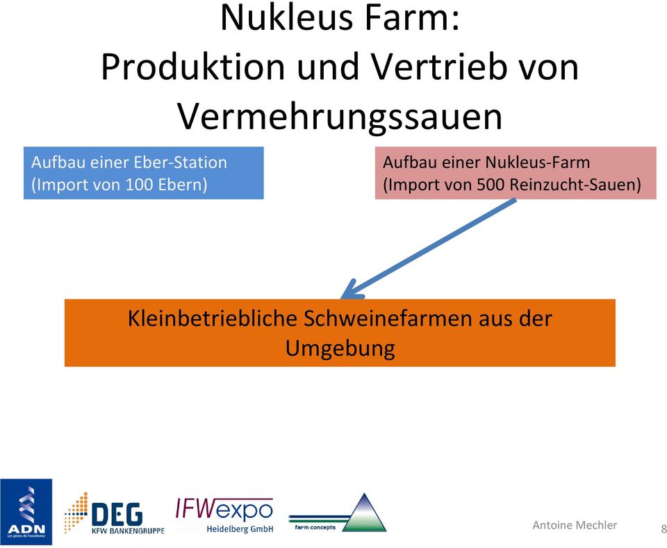 einer Nukleus-Farm (Import von 500 Reinzucht-Sauen)