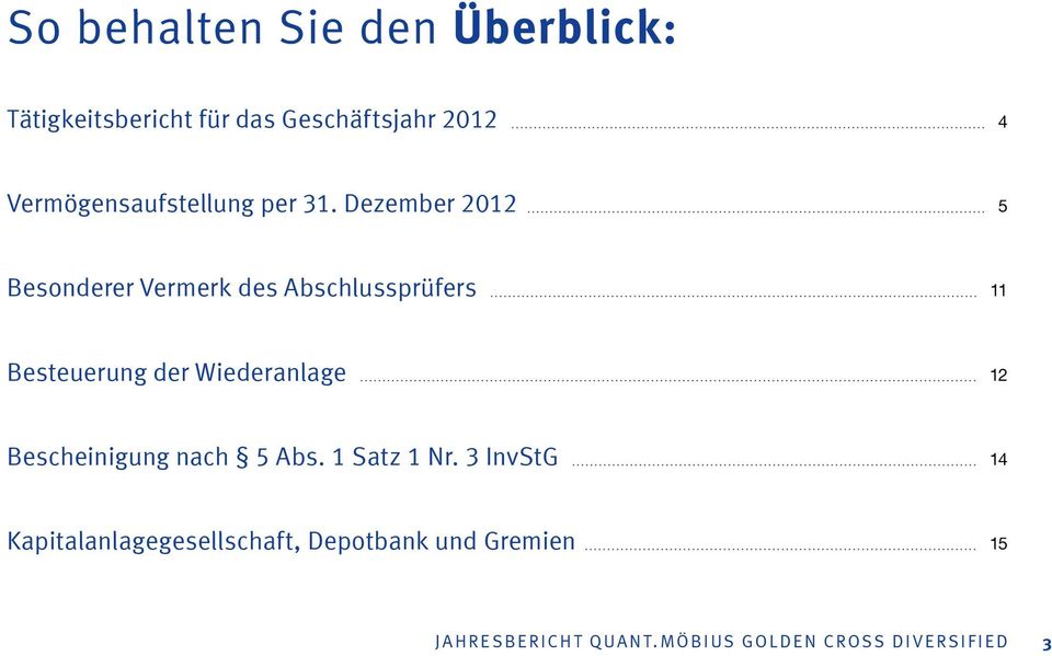 Dezember 2012 5 Besonderer Vermerk des Abschlussprüfers 11 Besteuerung der Wiederanlage