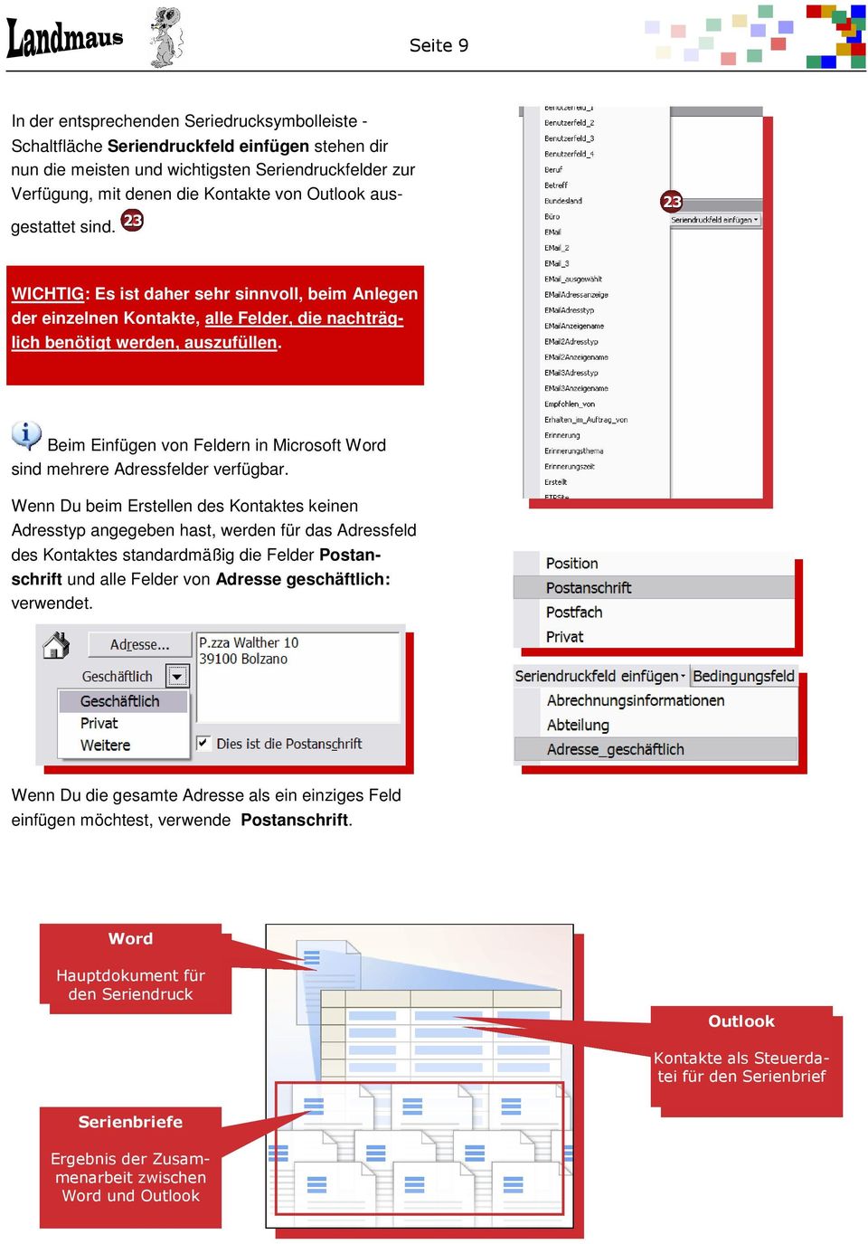 Beim Einfügen von Feldern in Microsoft Word sind mehrere Adressfelder verfügbar.