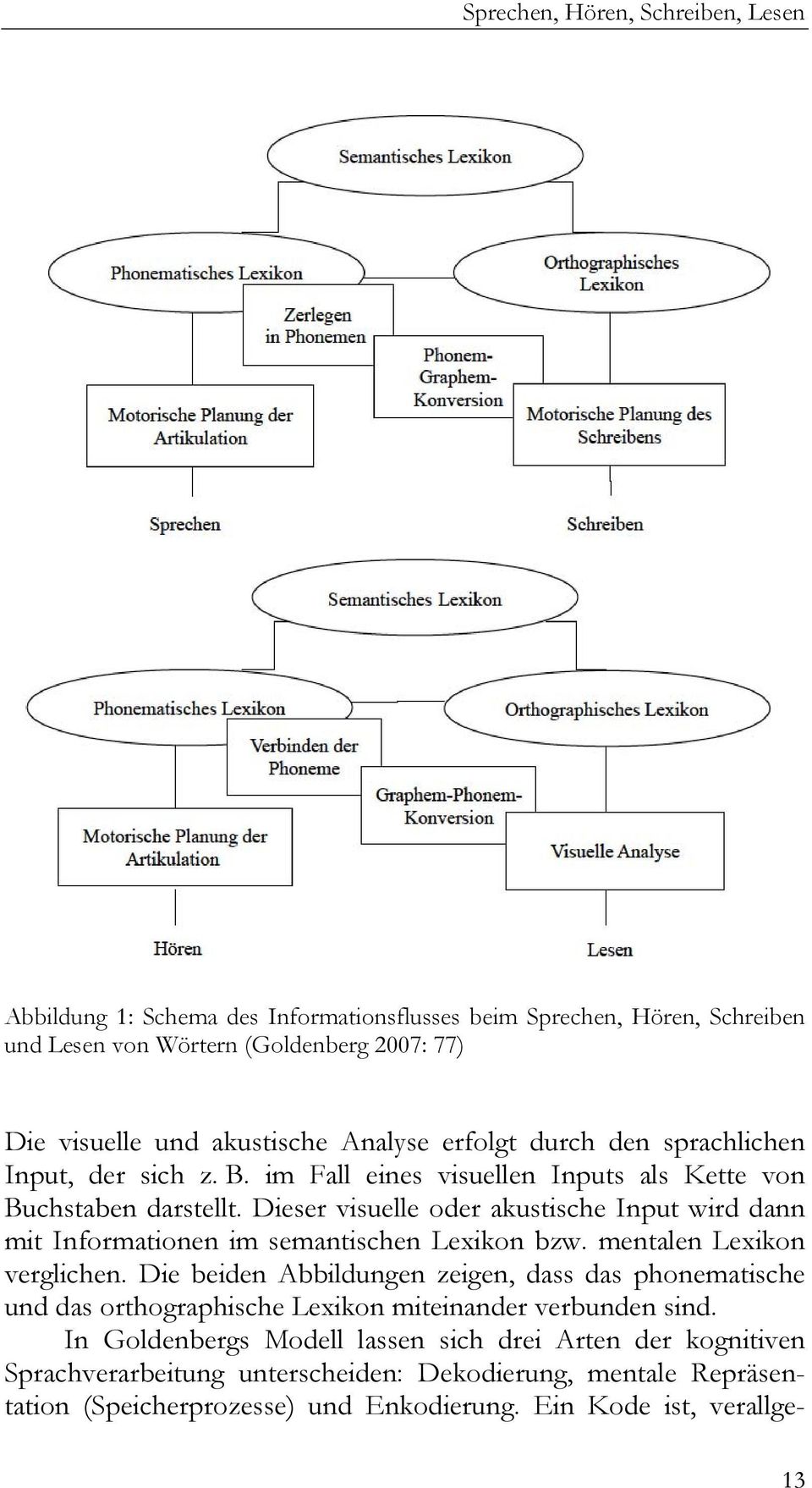 Dieser visuelle oder akustische Input wird dann mit Informationen im semantischen Lexikon bzw. mentalen Lexikon verglichen.