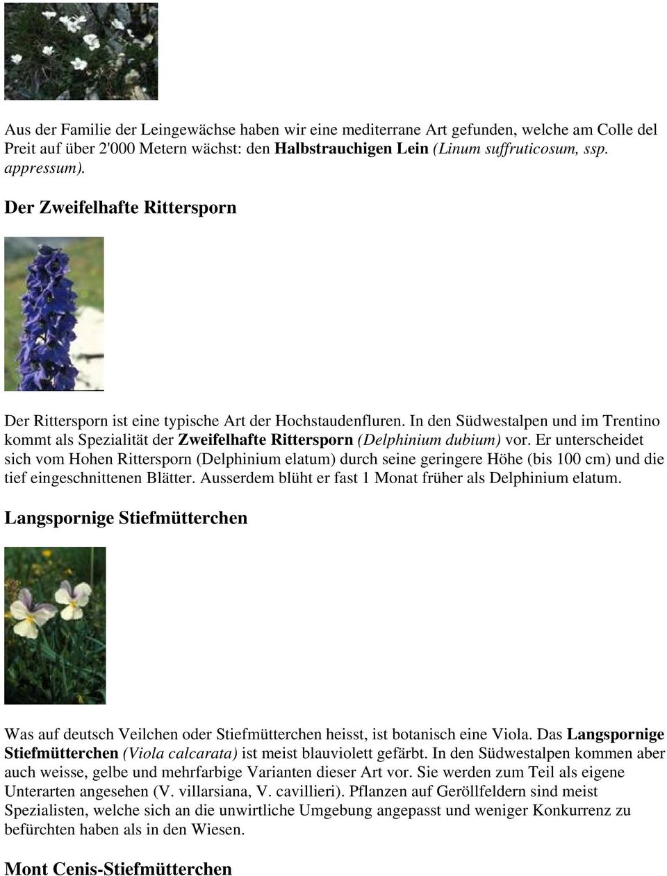 In den Südwestalpen und im Trentino kommt als Spezialität der Zweifelhafte Rittersporn (Delphinium dubium) vor.