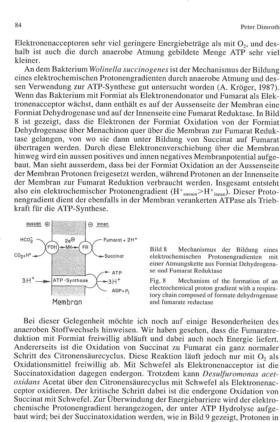 (A. Kröger, 1987).