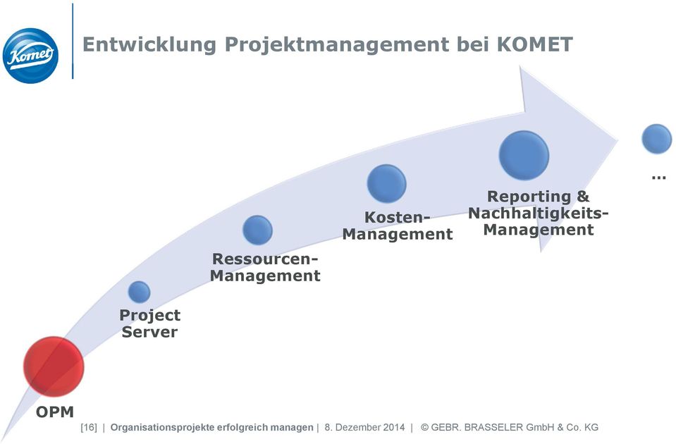 Management Project Server OPM [16] Organisationsprojekte