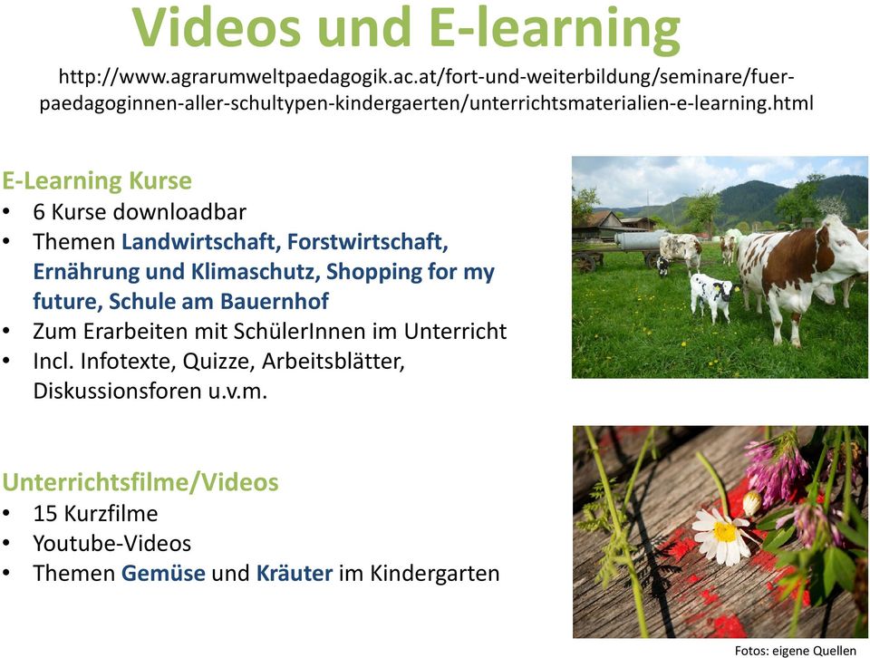 html E-Learning Kurse 6 Kurse downloadbar Themen Landwirtschaft, Forstwirtschaft, Ernährung und Klimaschutz, Shopping for my future,