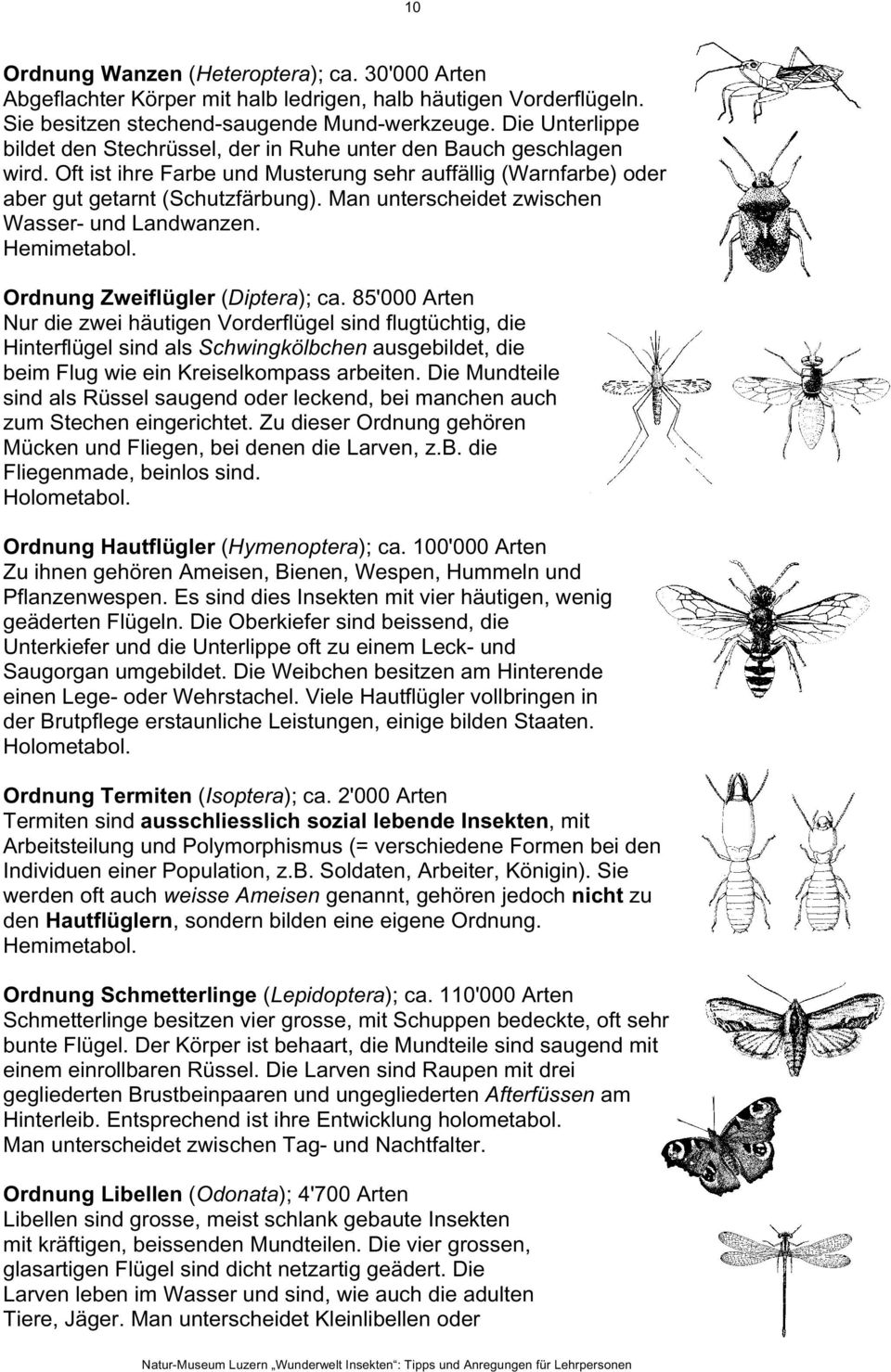 Man unterscheidet zwischen Wasser- und Landwanzen. Hemimetabol. Ordnung Zweiflügler (Diptera); ca.