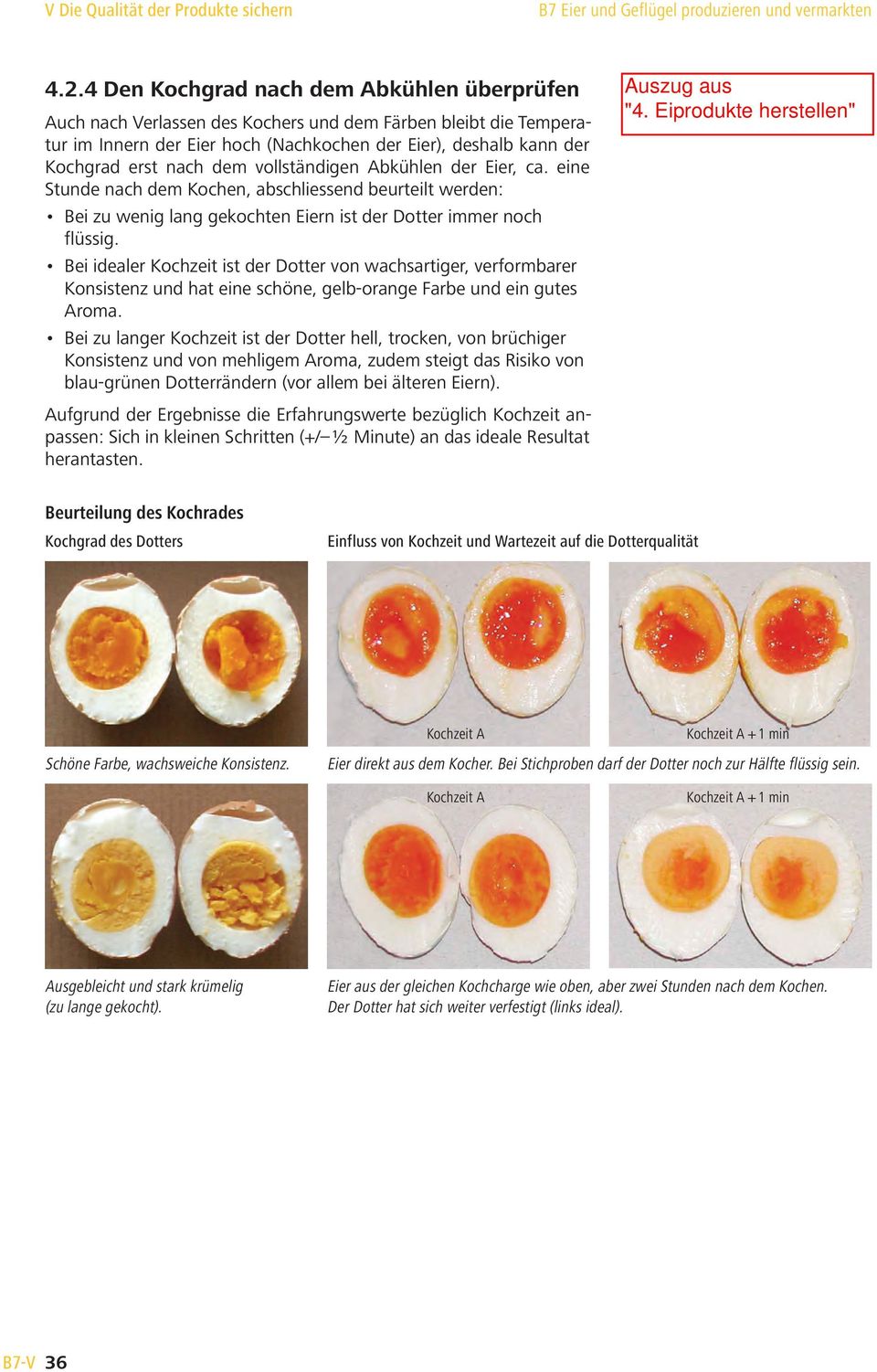 vollständigen Abkühlen der Eier, ca. eine Stunde nach dem Kochen, abschliessend beurteilt werden: Bei zu wenig lang gekochten Eiern ist der Dotter immer noch flüssig.