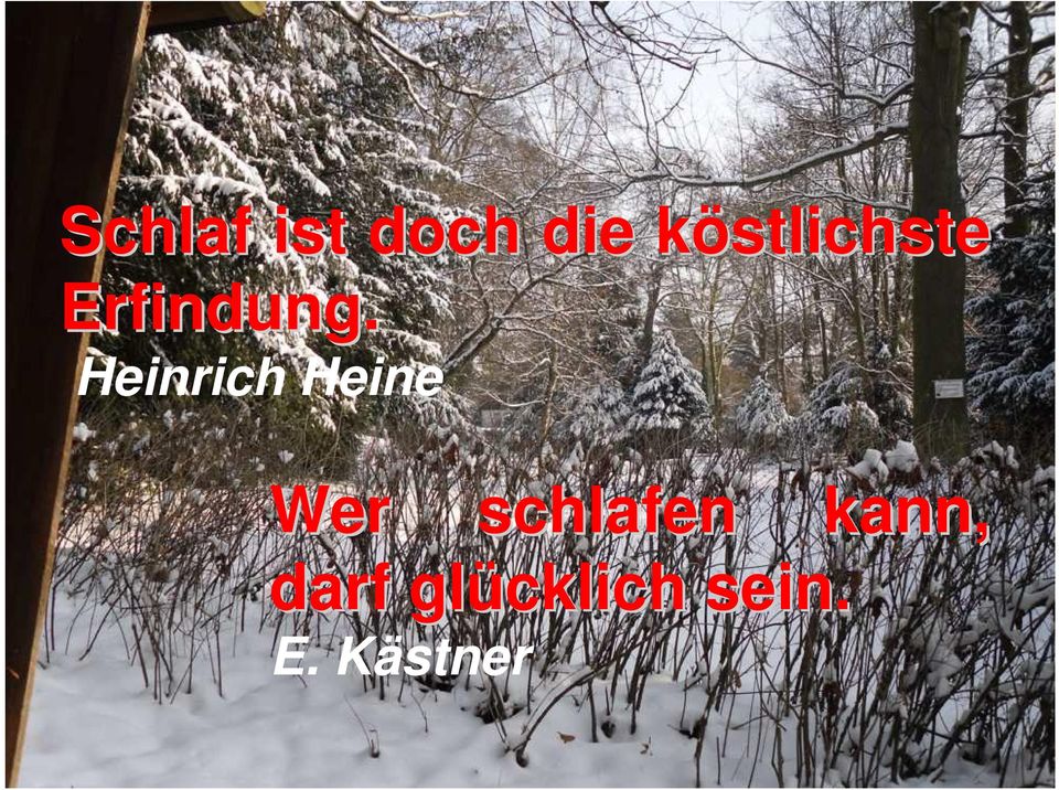 Heinrich Heine Wer schlafen kann,