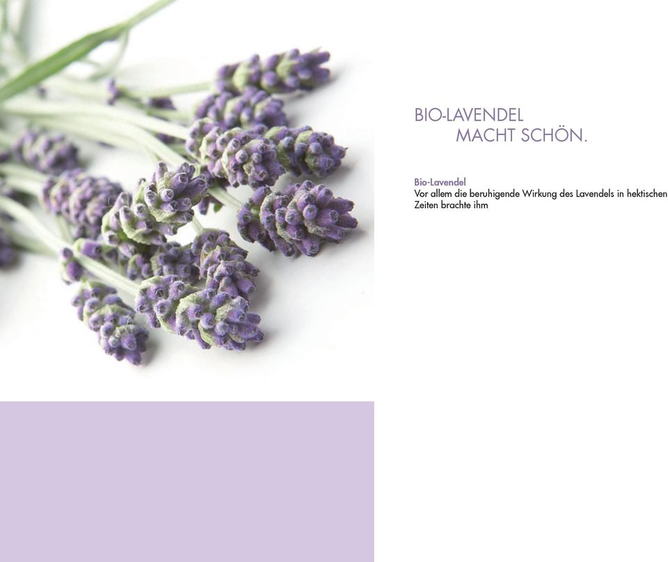 Entspannungsdusche Bio-Lavendel Mit Florella Lavendel Entspannungsdusche vewöhnen Sie ihren Körper und Ihre Sinne.