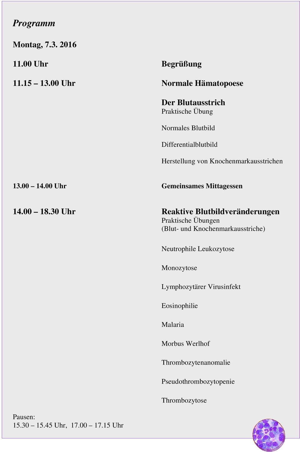 Knochenmarkausstrichen 13.00 14.00 Uhr Gemeinsames Mittagessen 14.00 18.