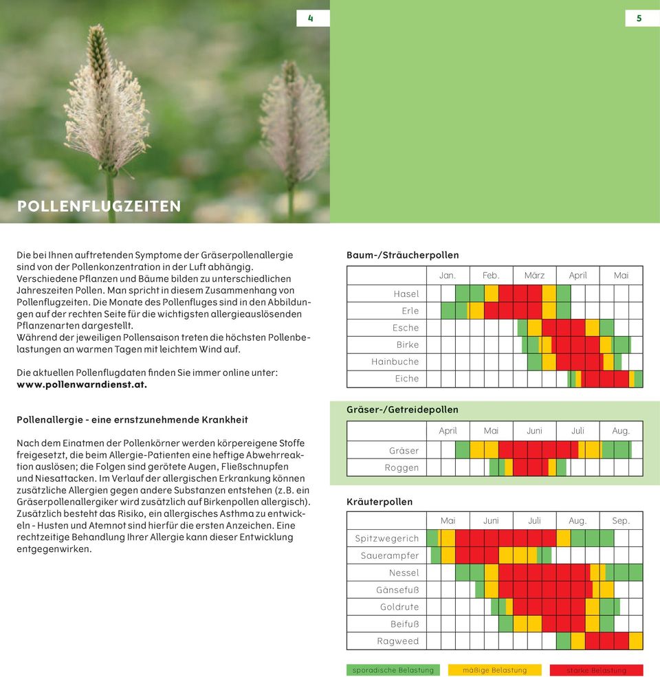 Die Monate des Pollenfluges sind in den Abbildungen auf der rechten Seite für die wichtigsten allergieauslösenden Pflanzenarten dargestellt.