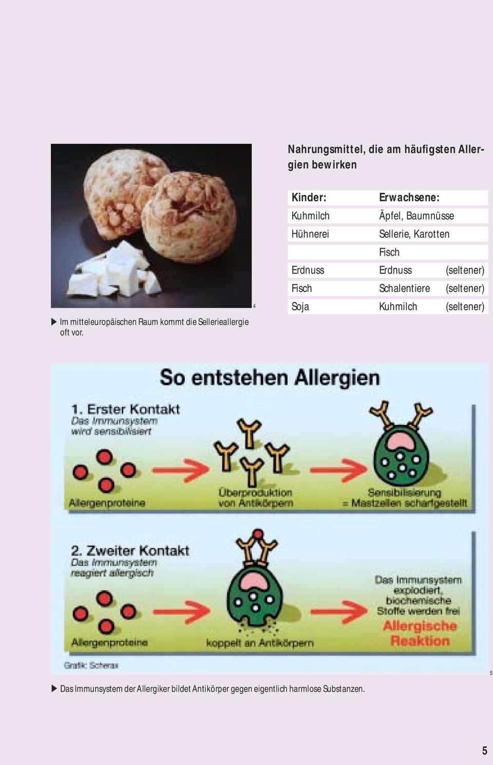 4 Kinder: Erwachsene: Kuhmilch Äpfel, Baumnüsse Hühnerei Sellerie, Karotten Fisch Erdnuss