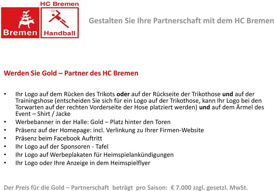Shirt / Jacke Werbebanner in der Halle: Gold Platz hinter den Toren Präsenz auf der Homepage: incl.