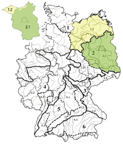 Welche Herkunftsgebiete werden für gebietsheimische Gehölze in Brandenburg zugrunde gelegt? Gebietsheimische Gehölze sollten immer in der Region ausgebracht werden, aus der sie auch stammen.