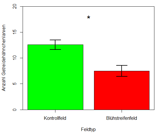 Getreidehähnchen in Kontrollfeldern (grün; n= 15) und Blühstreifenfeldern (rot; n = 10).