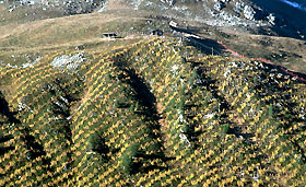 Anbau unter Folie Benefit (Weinbau) b) On / Off site: (Wasser-)Erosion Dauerhafte Bodendeckung gut?