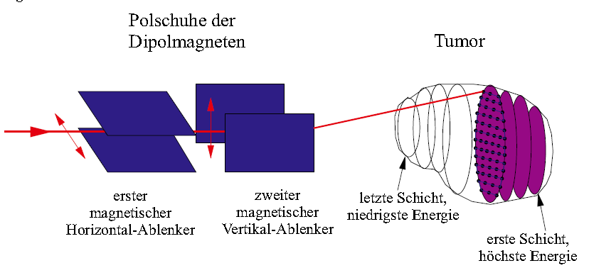 Jede Schicht wird mit einem Netz von Bildpunkten besetzt. Beginnend mit der zu hinterste gelegenen Schicht (größte Tiefe), wird mit den beiden Dipolmagneten der Strahl über diesen Weg geführt.