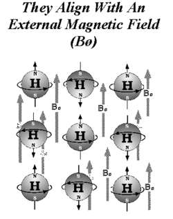 MRT Grundlagen: starkes Magnetfeld (0,2-9,4 Tesla): Ausrichtung der Spins: Paralell und antiparalell zum Mf