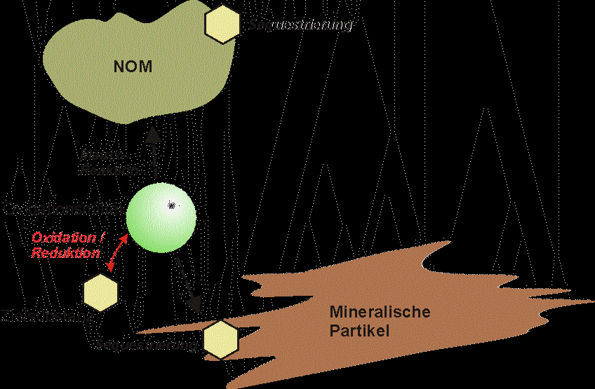 Matrix und