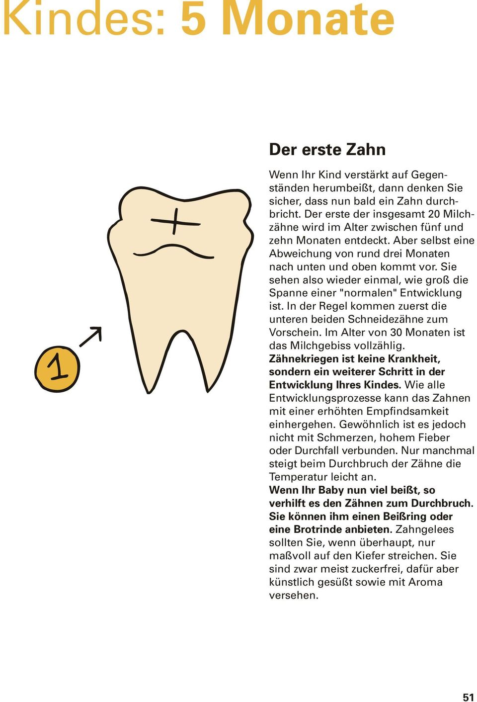 Sie sehen also wieder einmal, wie groß die Spanne einer "normalen" Entwicklung ist. In der Regel kommen zuerst die unteren beiden Schneidezähne zum Vorschein.