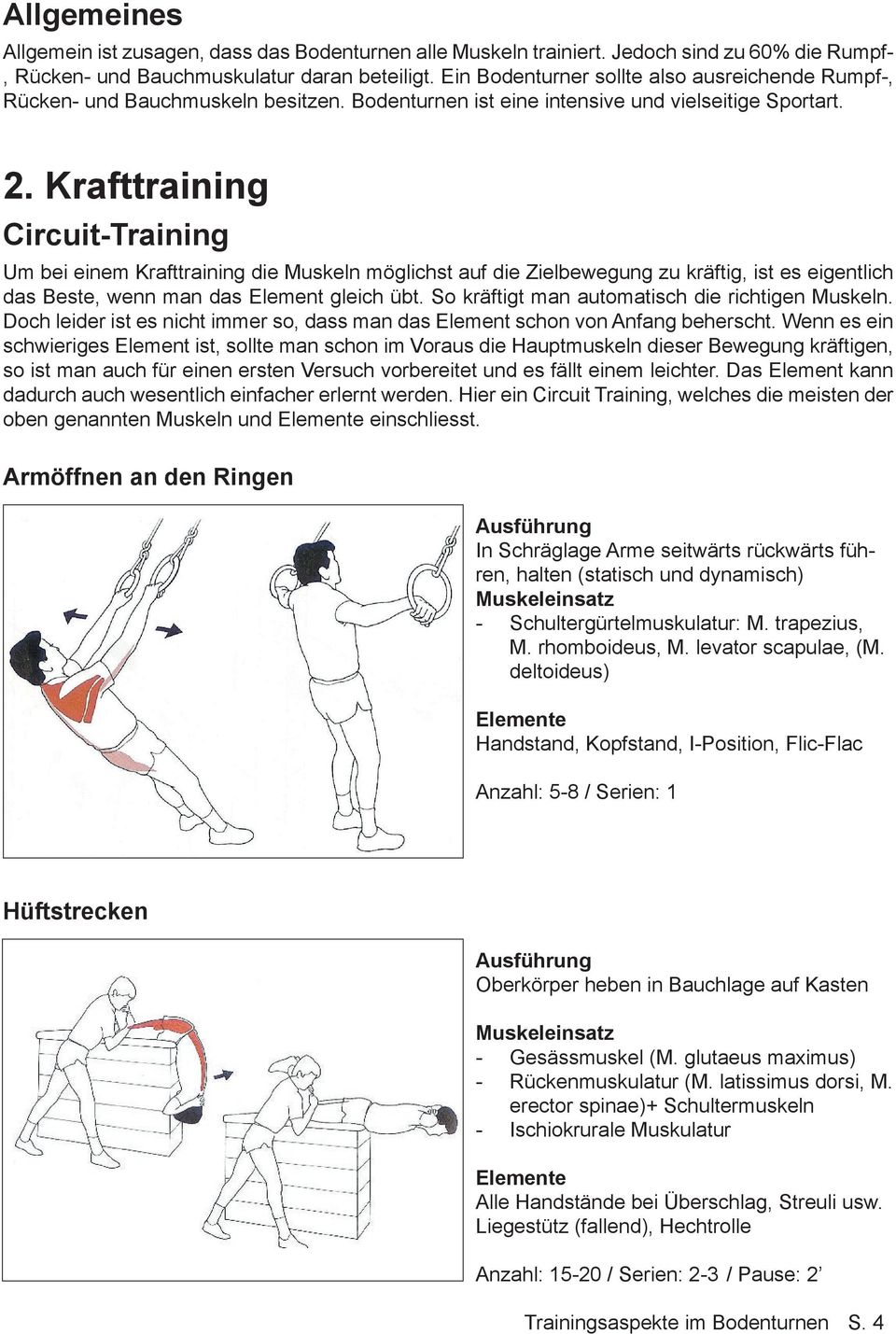 Krafttraining Circuit-Training Um bei einem Krafttraining die Muskeln möglichst auf die Zielbewegung zu kräftig, ist es eigentlich das Beste, wenn man das Element gleich übt.