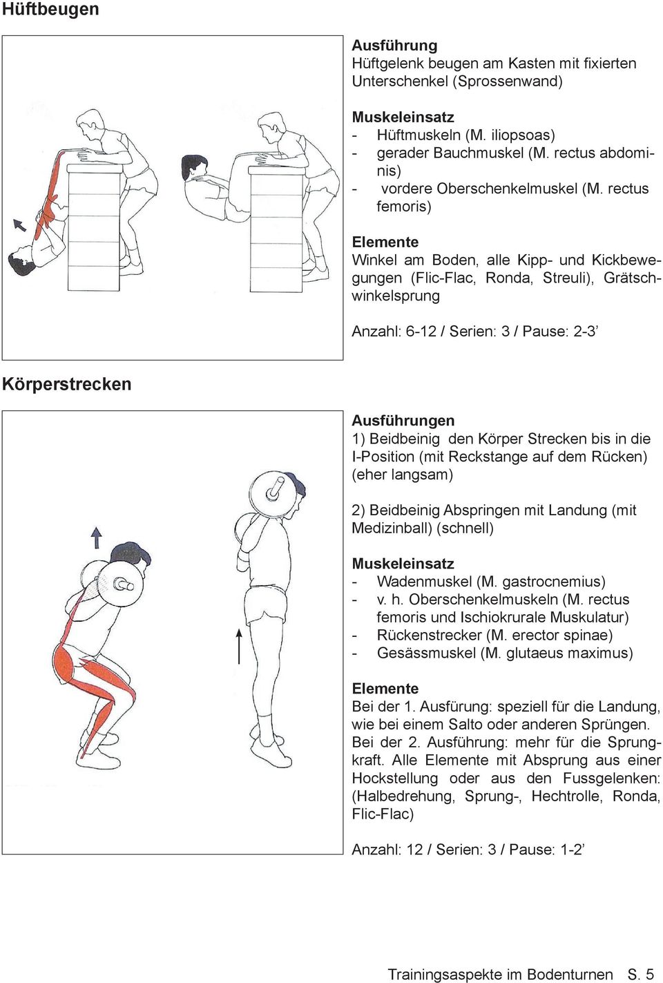 Strecken bis in die I-Position (mit Reckstange auf dem Rücken) (eher langsam) 2) Beidbeinig Abspringen mit Landung (mit Medizinball) (schnell) - Wadenmuskel (M. gastrocnemius) - v. h.