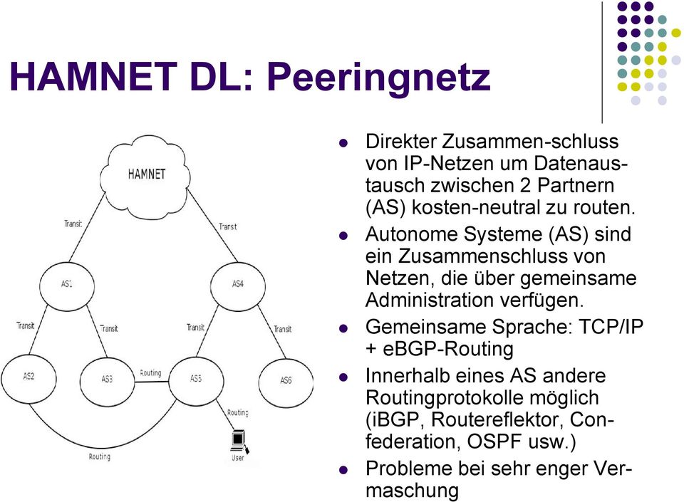 Autonome Systeme (AS) sind ein Zusammenschluss von Netzen, die über gemeinsame Administration verfügen.