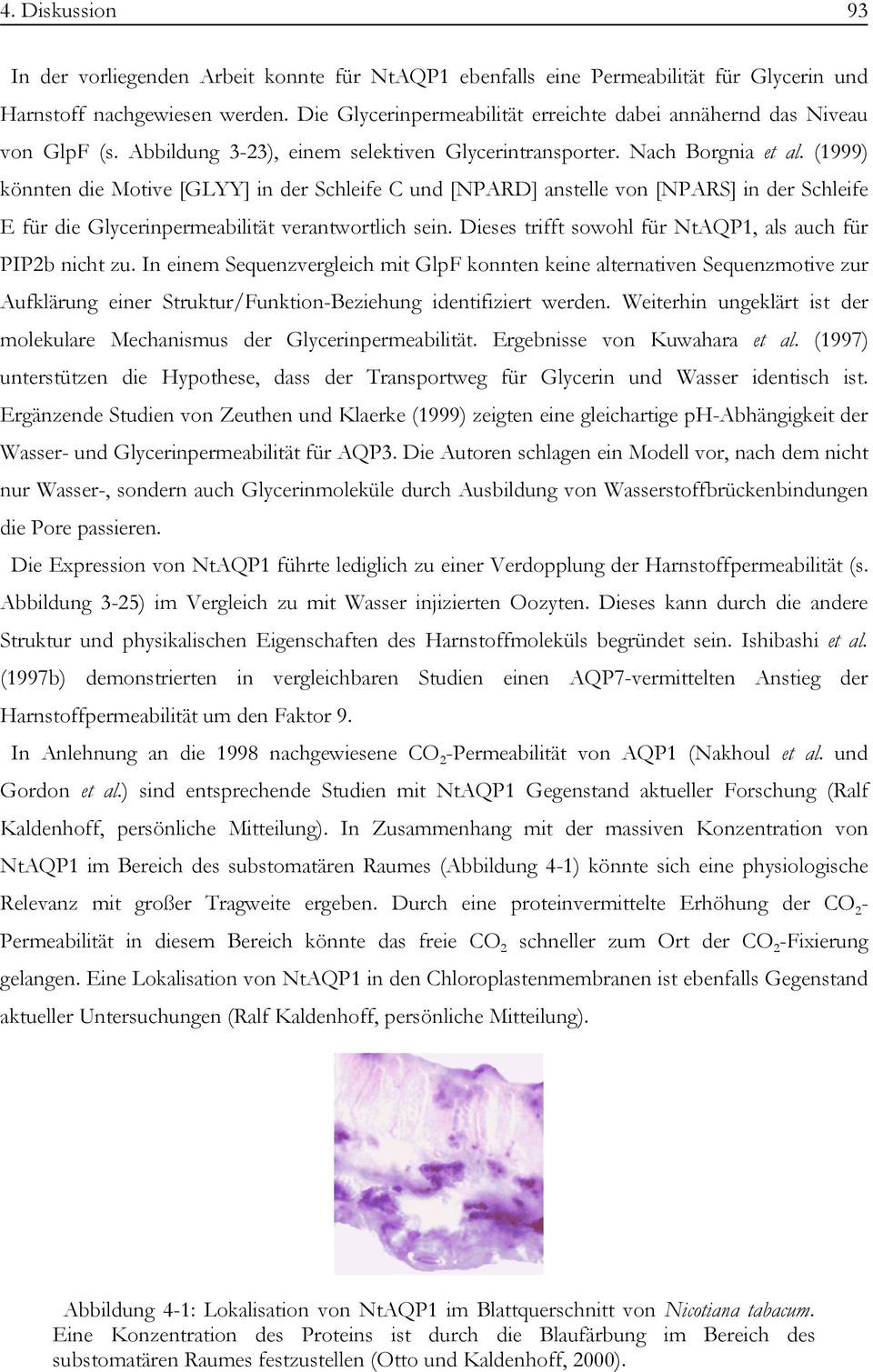 (1999) könnten die Motive [GLYY] in der Schleife C und [NPARD] anstelle von [NPARS] in der Schleife E für die Glycerinpermeabilität verantwortlich sein.