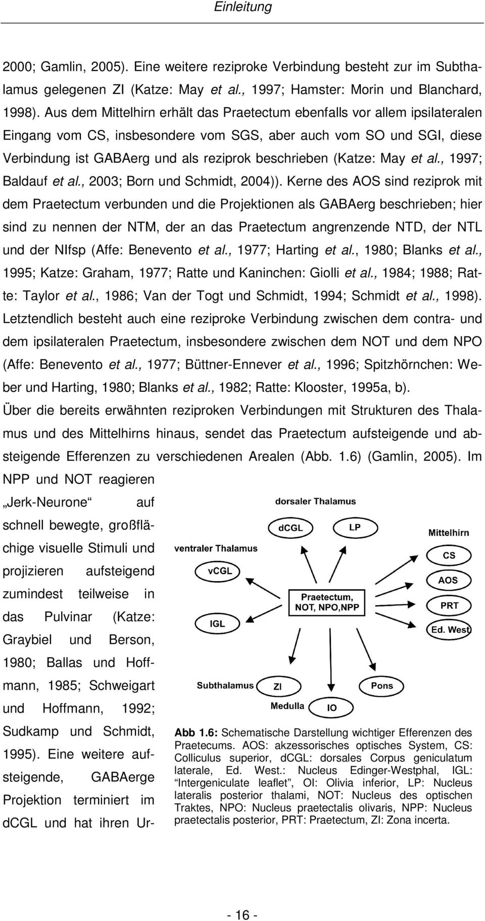 (Katze: May et al., 1997; Baldauf et al., 2003; Born und Schmidt, 2004)).