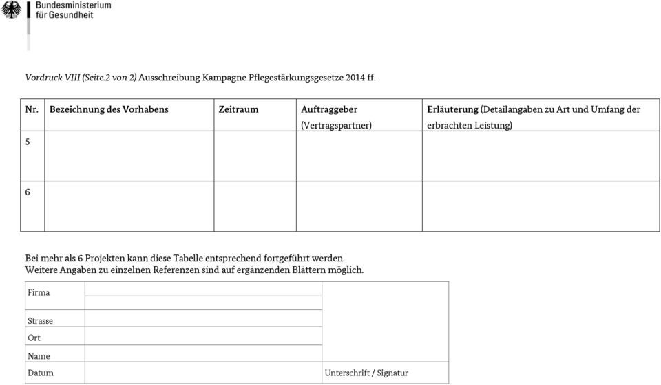 (Detailangaben zu Art und Umfang der erbrachten Leistung) 6 Bei mehr als 6 Projekten kann