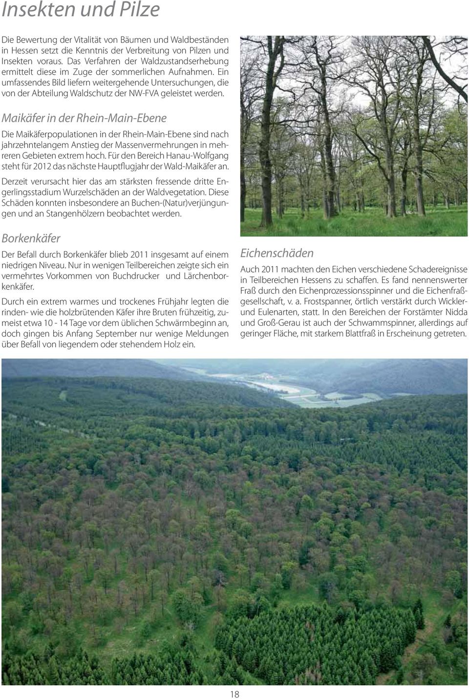 Ein umfassendes Bild liefern weitergehende Untersuchungen, die von der Abteilung Waldschutz der NW-FVA geleistet werden.