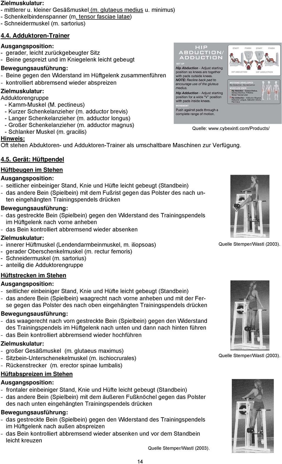 wieder abspreizen Zielmuskulatur: Adduktorengruppe - Kamm-Muskel (M. pectineus) - Kurzer Schenkelanzieher (m. adductor brevis) - Langer Schenkelanzieher (m.