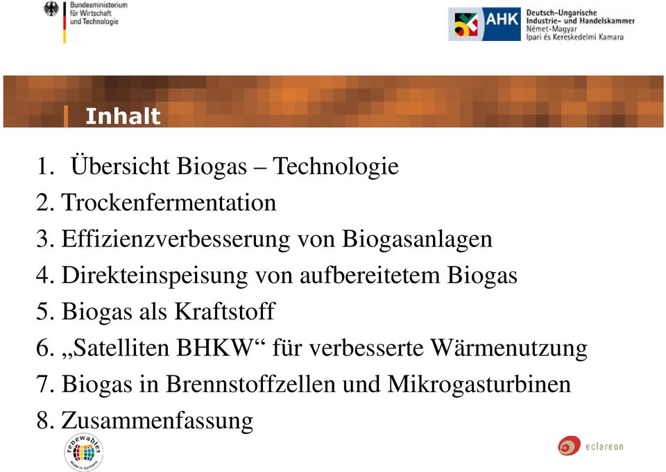 Effizienzverbesserung von Biogasanlagen 4.