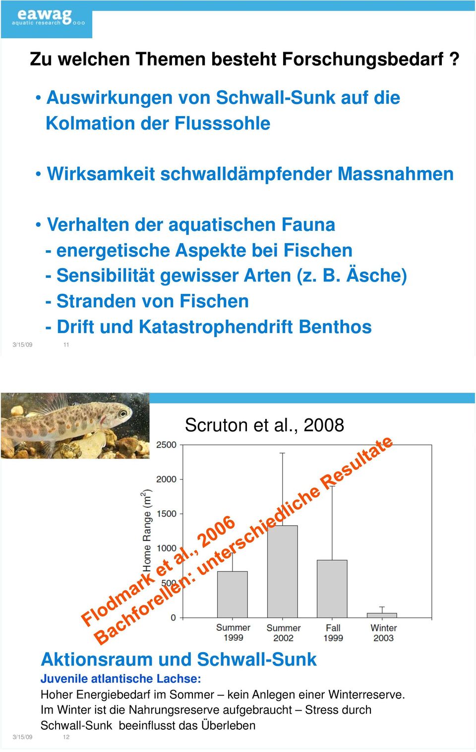 energetische Aspekte bei Fischen - Sensibilität gewisser Arten (z. B.