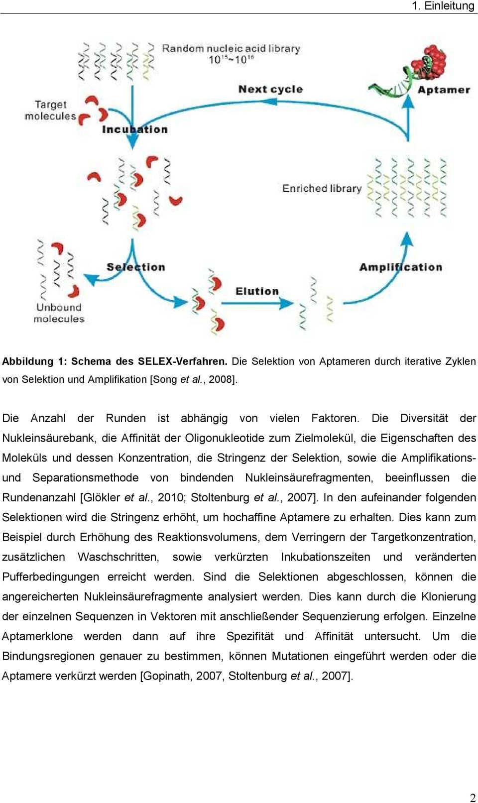 Die Diversität der Nukleinsäurebank, die Affinität der Oligonukleotide zum Zielmolekül, die Eigenschaften des Moleküls und dessen Konzentration, die Stringenz der Selektion, sowie die